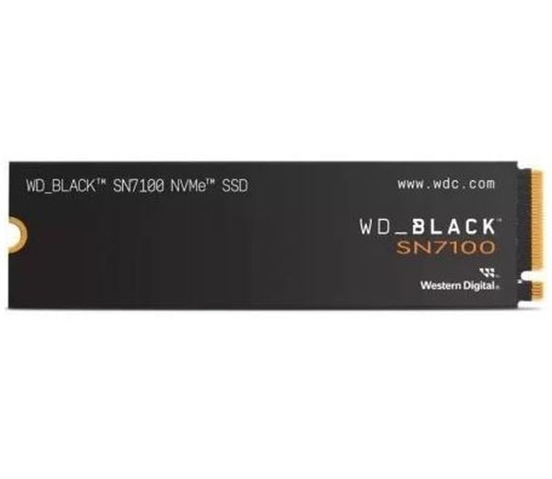 WDS100T4X0E